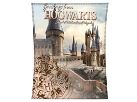 Kinderdecke Harry Potter Hogwarts