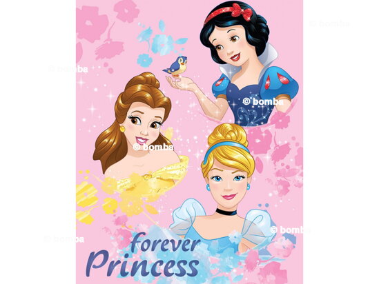 Kinderdecke Disney Princess