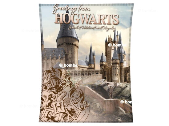 Kinderdecke Harry Potter Hogwarts