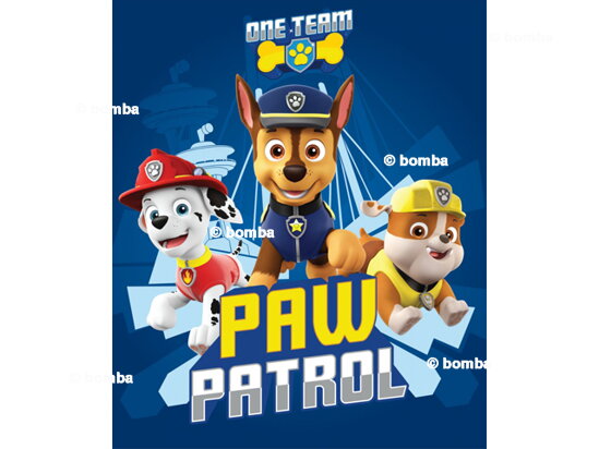 Kinderdecke Paw Patrol One Team