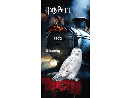 Strandtuch Harry Potter Eule Hedwig