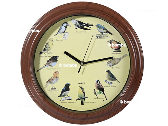 Wanduhr mit Vogelstimmen