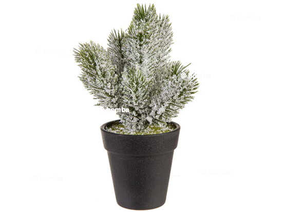 Deko-Weihnachtsbaum mit Schnee im Topf